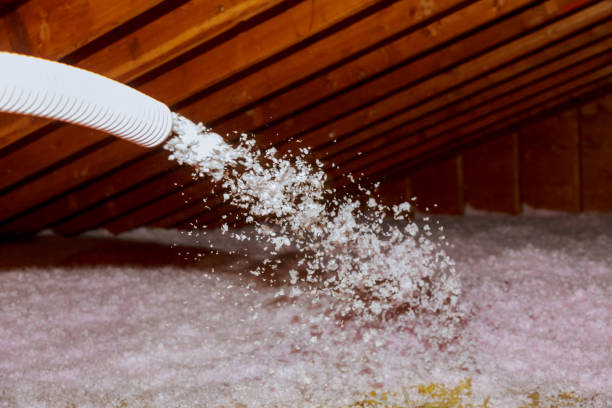 Best Commercial Insulation in Shawnee, KS