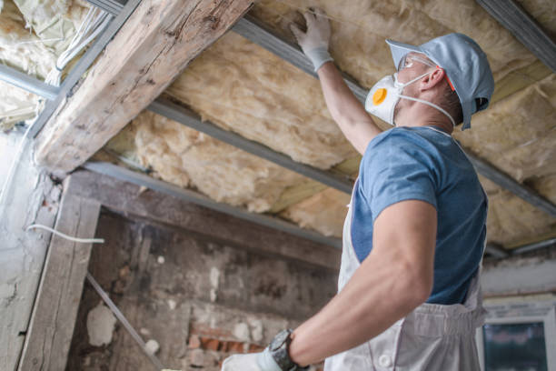 Best Specialized Insulation Services in Shawnee, KS