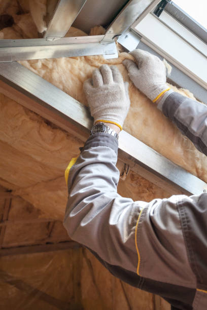 Best Cellulose Insulation in Shawnee, KS